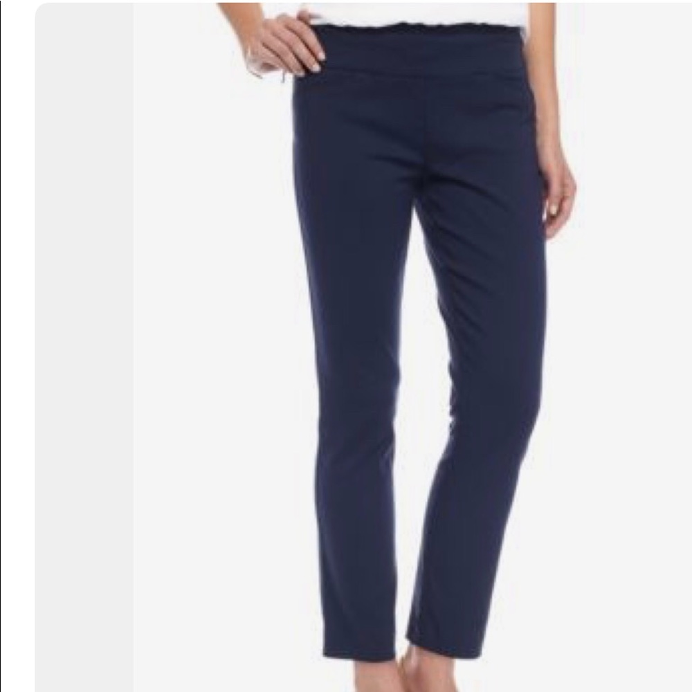Kaari Blue Navy Skinny Pants